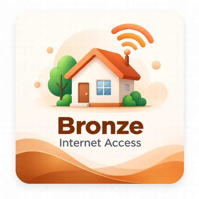 Bronze Internet Access